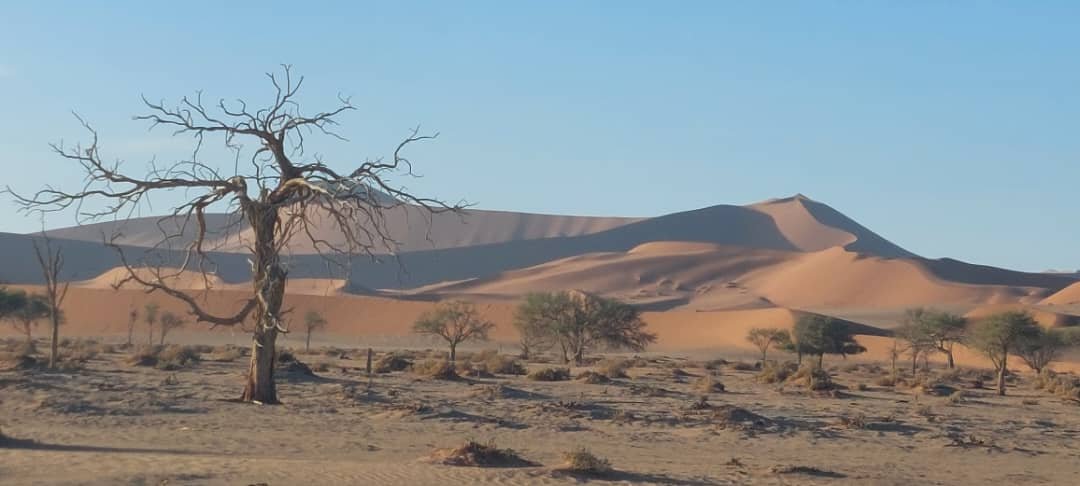 High dunes casting long shadows at Sossusvlei in Namibia